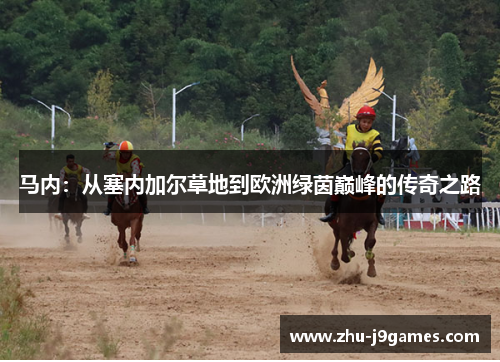 马内:从塞内加尔草地到欧洲绿茵巅峰的传奇之路 马内:从塞内加尔草地到欧洲绿茵巅峰的传奇之路